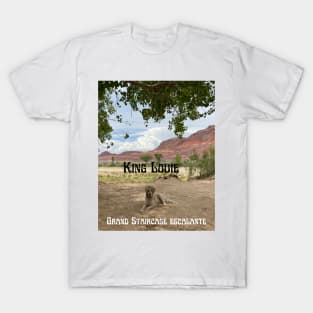 King Louie at the Grand Staircase Escalante National Monument T-Shirt